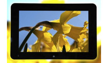 RDS supplies high-res wide-angle 7in and 10in industrial displays
